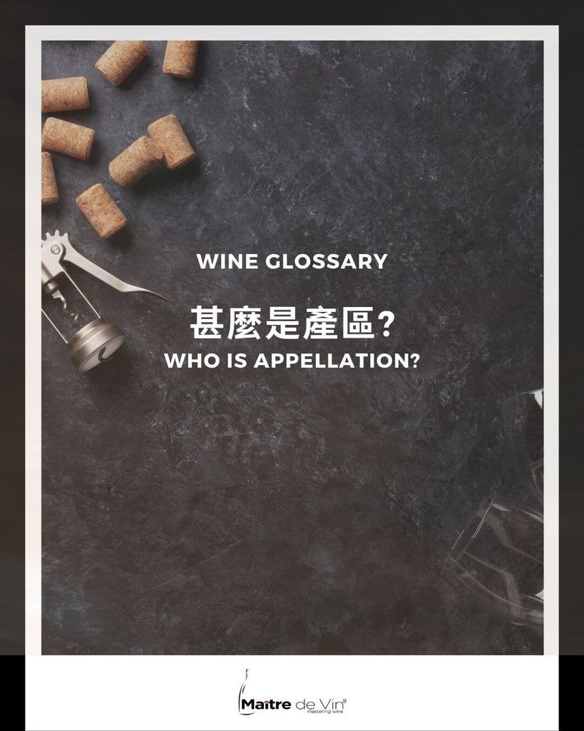 术语: 产区 (Appellation)