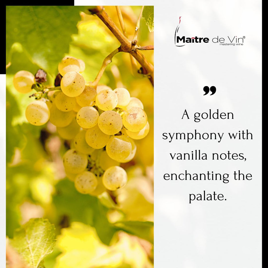 About Wine Grapes - Chardonnay
