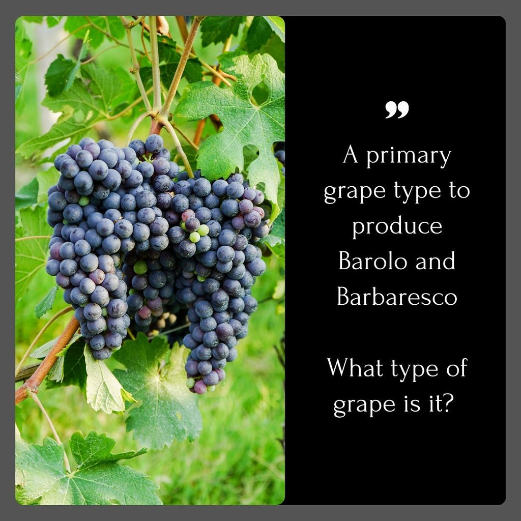 Introducing the Nebbiolo Grape