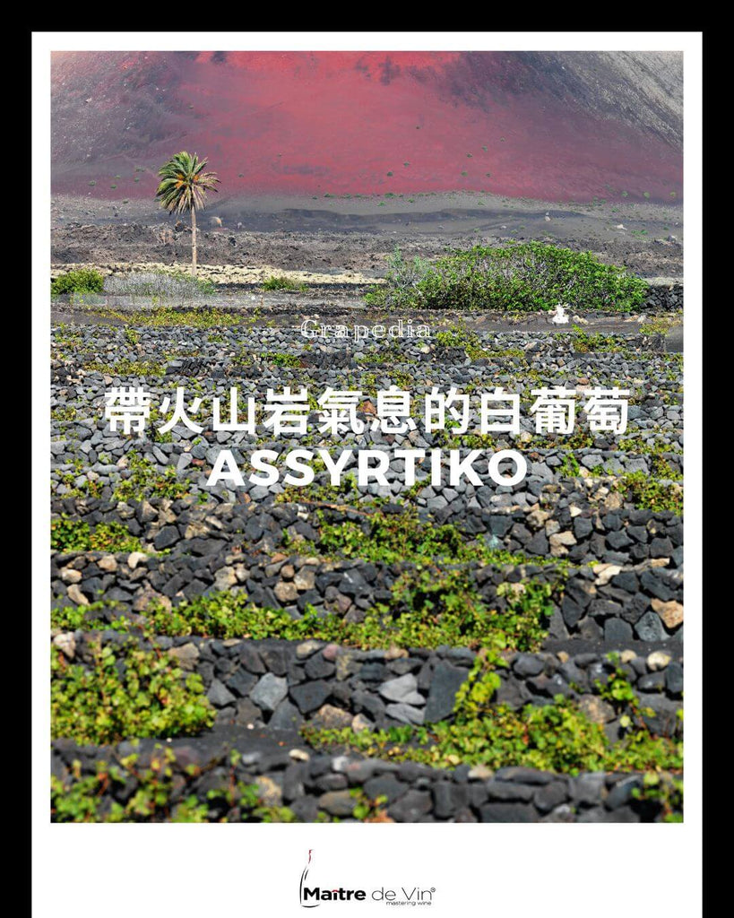 葡萄: 阿斯提可 (Assyrtiko)