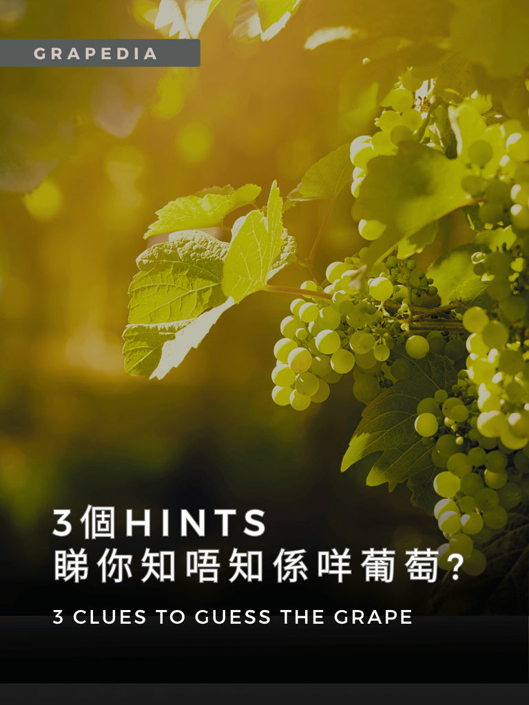 3個提示 - 估唔估到係咩葡萄?
