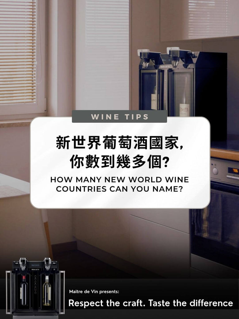 新世界葡萄酒国家有哪些?