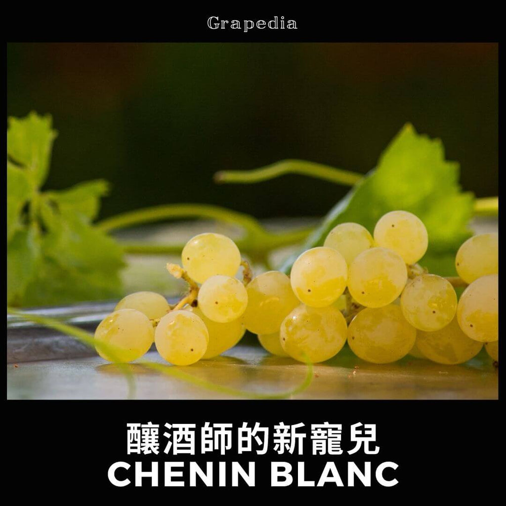 葡萄: 白诗楠(Chenin Blanc)