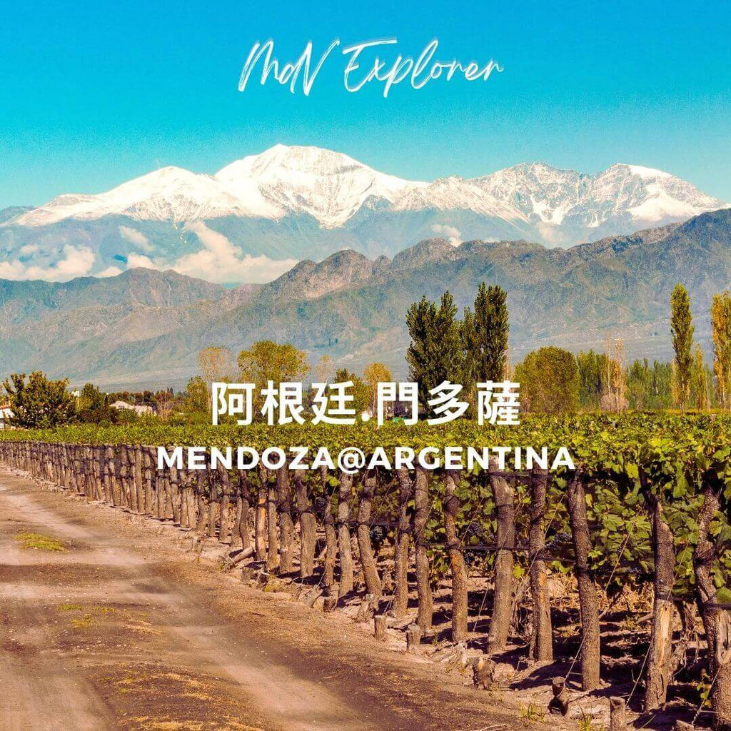 阿根廷,门多萨 (Mendoza)