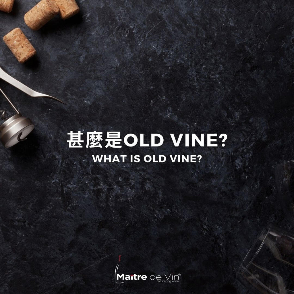 葡萄酒术语: 老藤 (Old Vine)