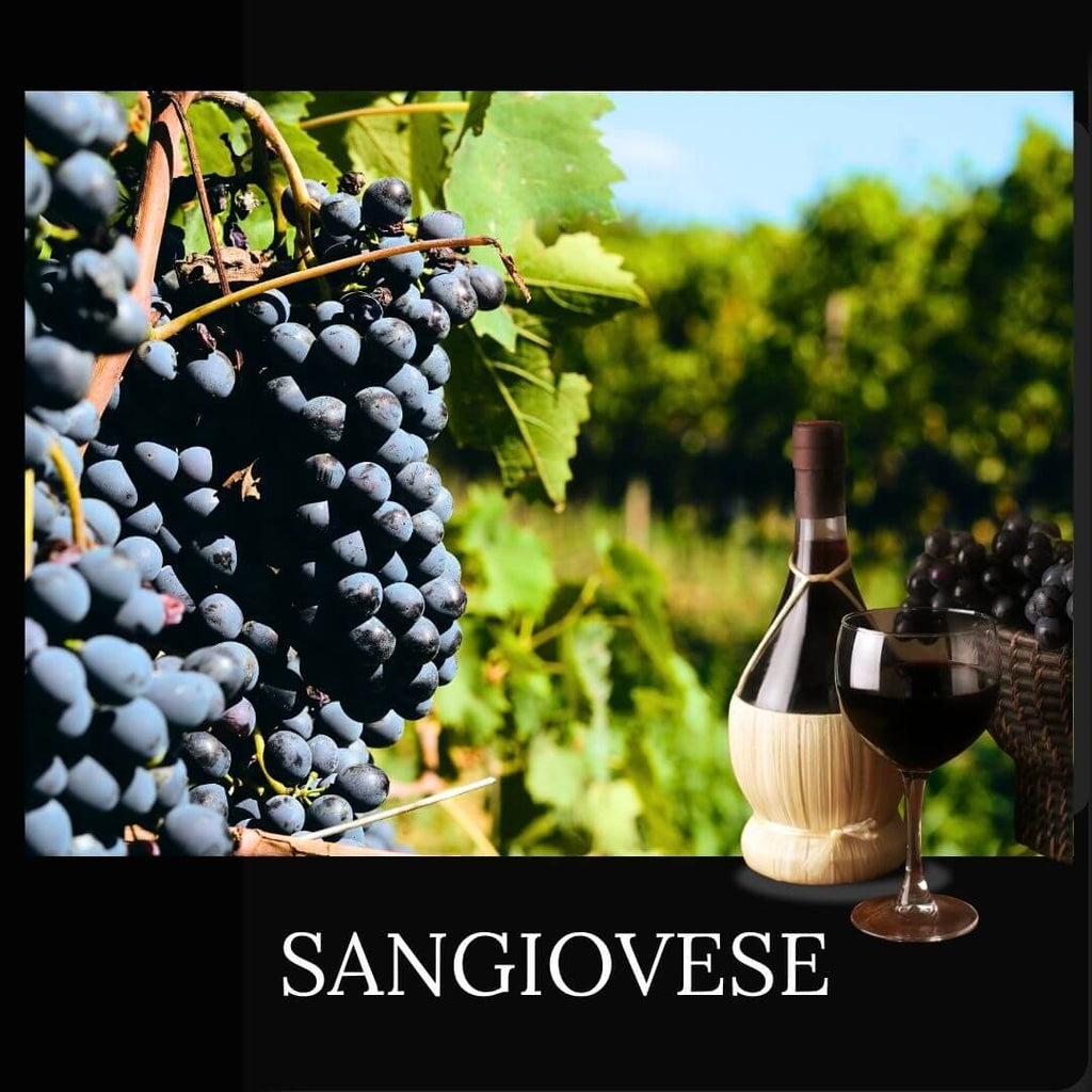 About Sangiovese Grape