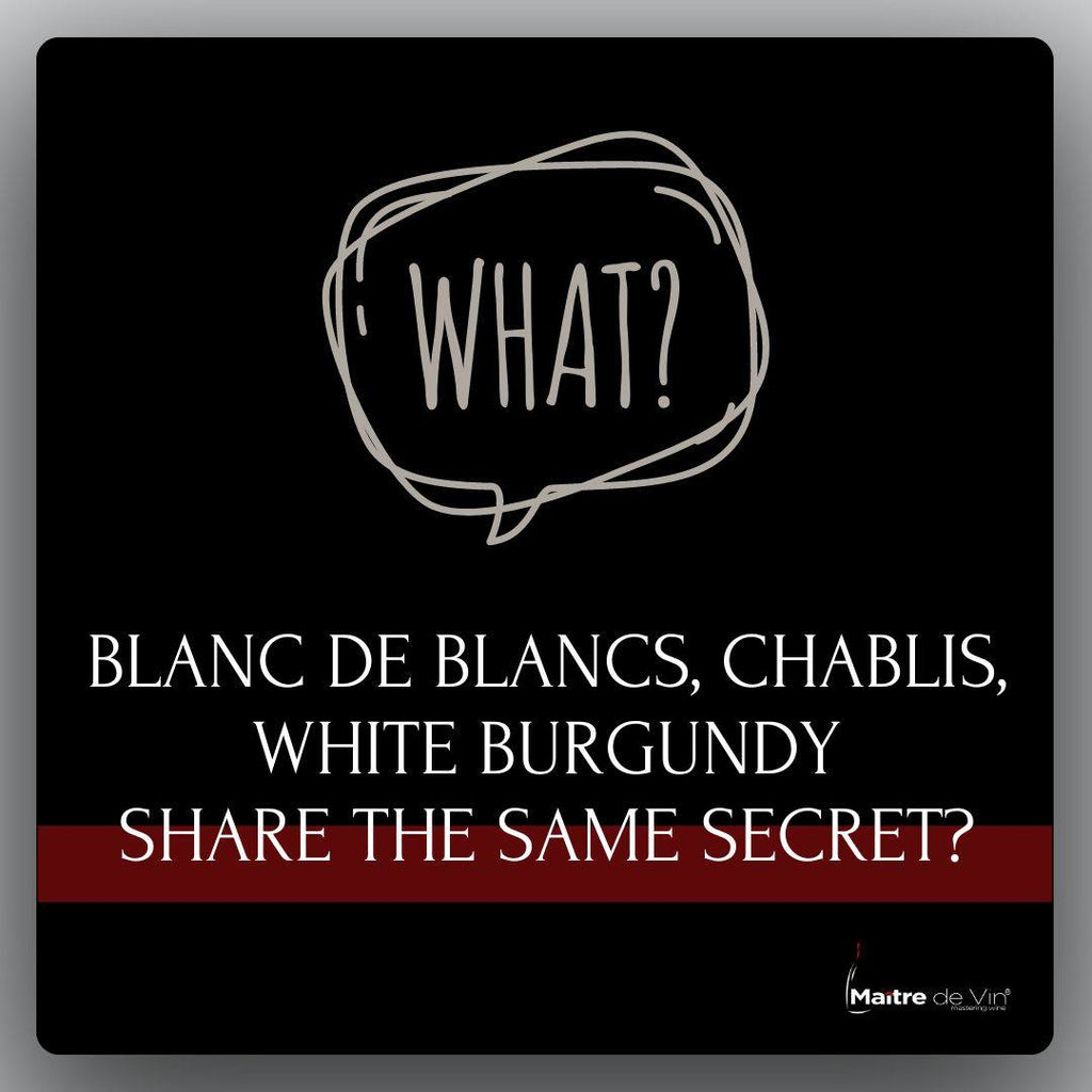 Three Wines, One Grape