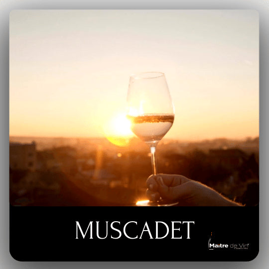 蜜思卡得 (Muscadet) 葡萄