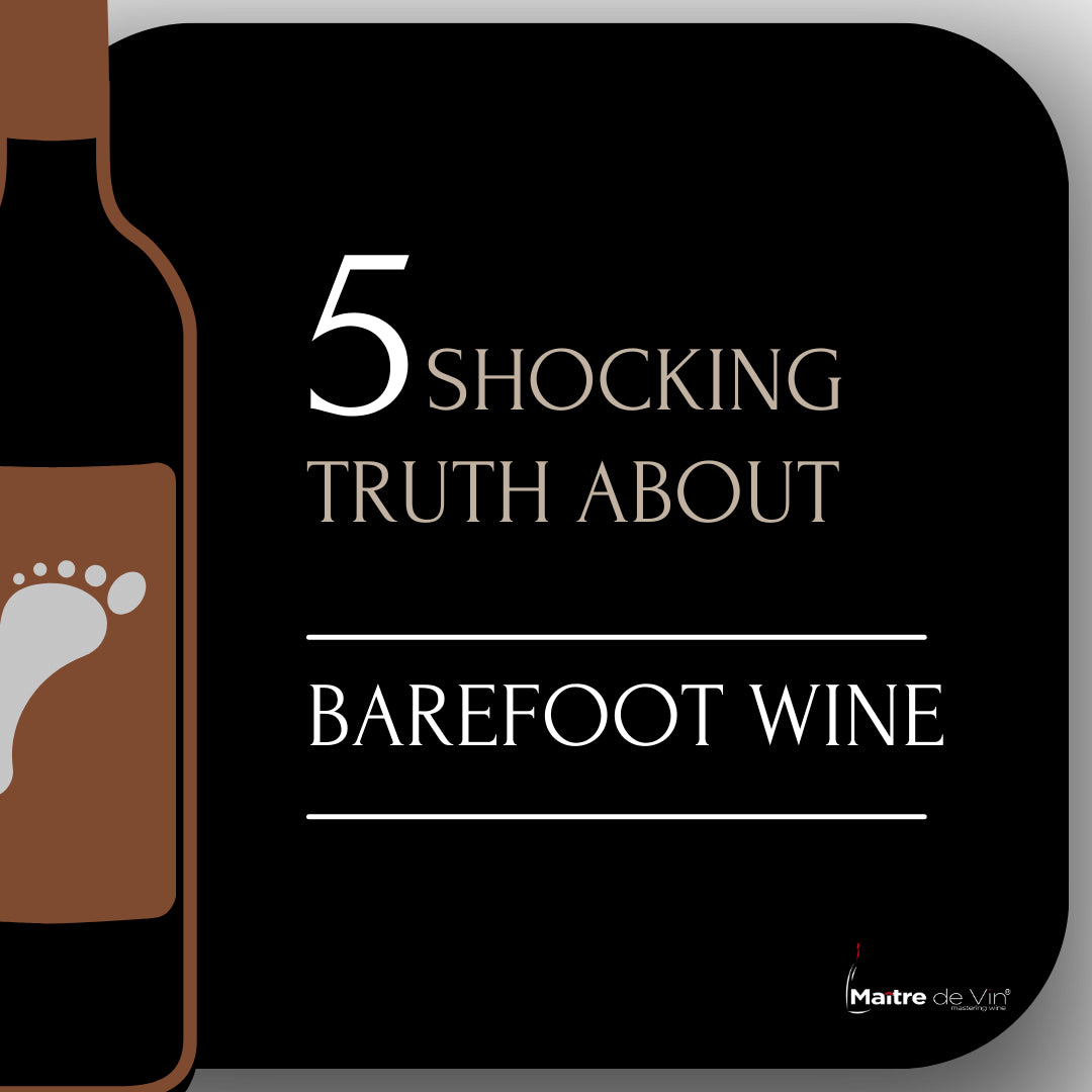 5 Shocking Truth About Barefoot Wine Maitre de Vin® Smart Multi