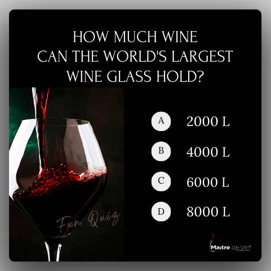 The World's Largest Wine Glass: A Guinness World Record Holder  Maitre de  Vin | Smart Multi-function Wine Cooler and Dispenser